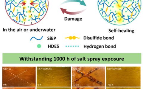 化学所李伟华教授团队在《Advanced Functional Materials》发表研究成果
