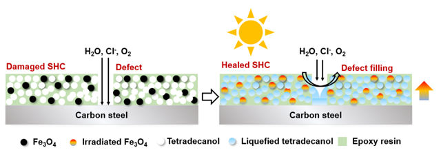 FCSE｜太阳光驱动的“自修复”防腐涂层