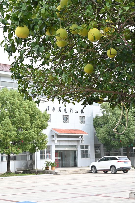 内卷的真相，竟是不敢啃“硬骨头”——访晨光董事长缪国元