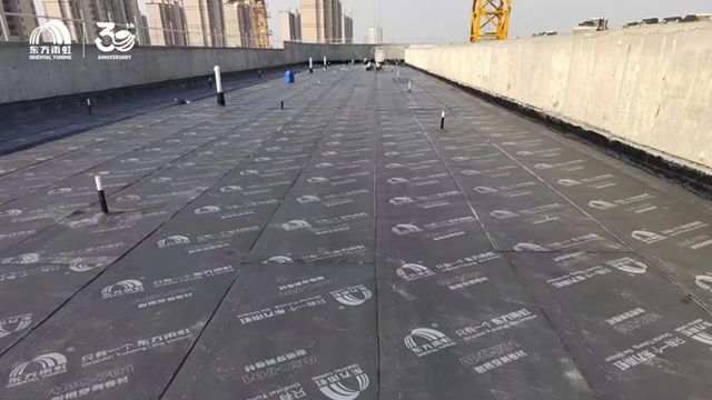 匠心筑就美好人居，东方雨虹荣膺“白玉兰奖”