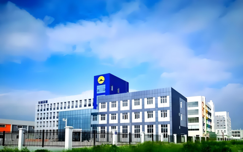 不做“小巨人”，要做“跨界王”：多元化才是专精特新企业的新活法？