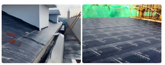 三棵树焕新标杆案例｜上海“美丽江桥”旧改，为老社区注入新生命