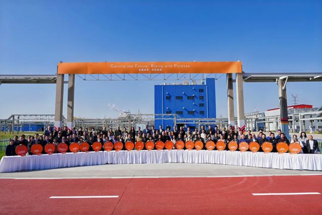 巴斯夫全新高性能分散剂生产线在中国南京正式投产