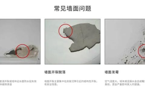 无胶体系，环保安心|紫荆花无胶墙面一体化涂装系统，助您打造健康美好的家