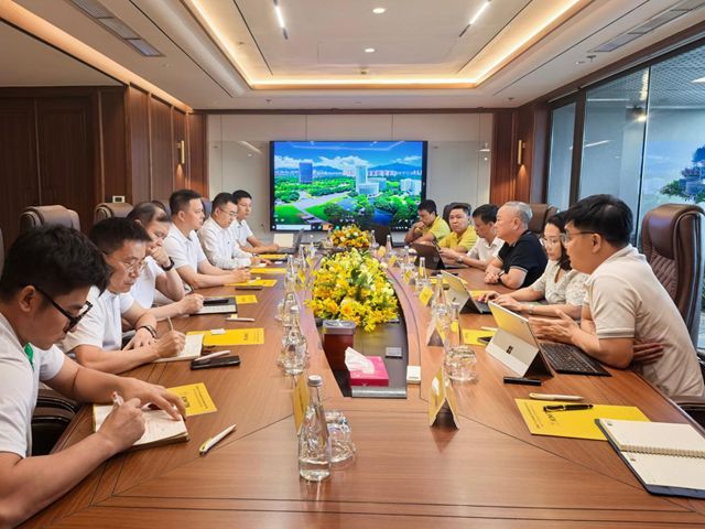 三棵树越南市场开拓：深耕本土化运营 打造东南亚发展新样本