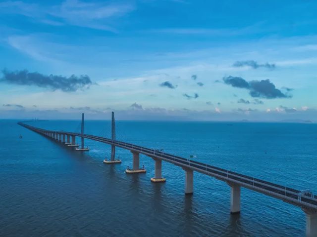 实力领航！三棵树荣获央企集采双项荣誉，赋能“好房子”新时代