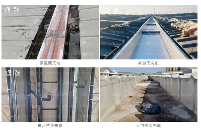 东方雨虹TPO：助力老旧工业厂房焕发新生