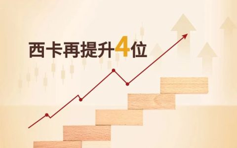 2025年全球建筑材料上市公司综合实力排行榜发布，西卡第13！