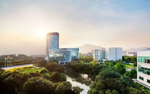 涂料行业唯一！三棵树AI公益项目获艾菲国际金奖