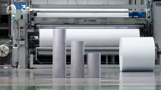 荣登全球百强榜,东方雨虹以综合实力书写高质量发展新篇