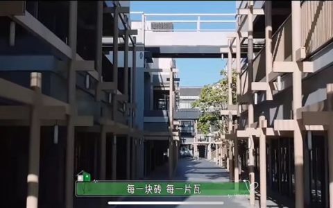三棵树 x 抖音《心动的房子》圆满收官 解锁“理想家”新范式