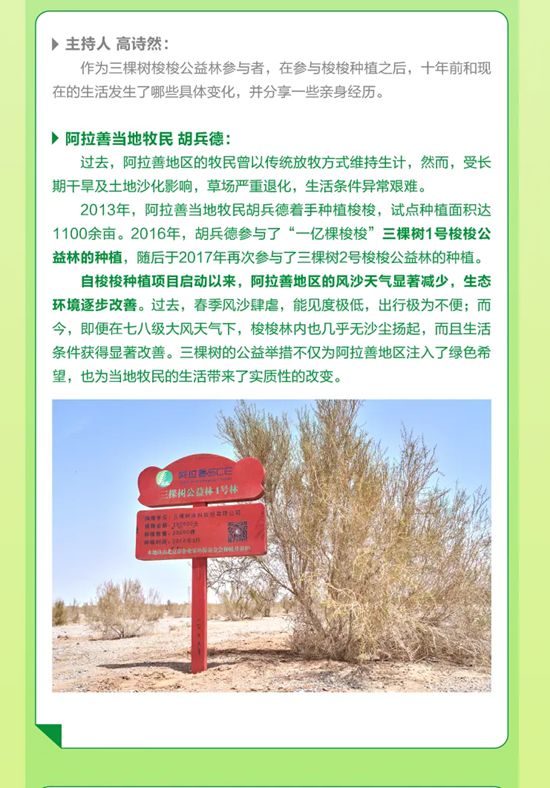 《焕然新生》第八期丨三棵树生态保护公益项目背后的品牌温度
