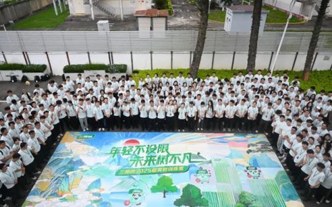 连续6年霸榜！三棵树获评“2025年度最佳雇主全国TOP100”