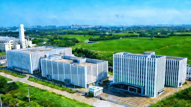 君子兰集团2025年度盘点:四大维度铸就行业标杆
