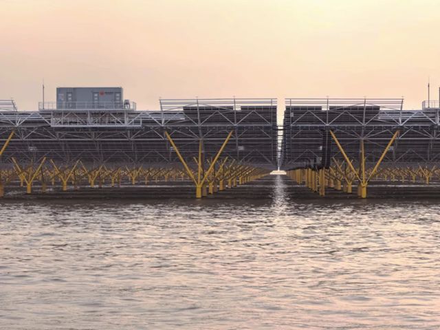 全球最大开放式海上光伏项目全容量并网，双瑞涂料筑牢国家能源工程关键防线