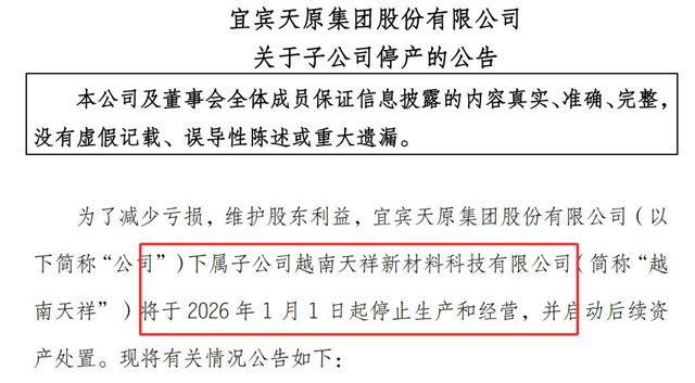 天原股份出海踩坑，越南工厂亏损叫停，15亿扩产国内氯化法，聪明！