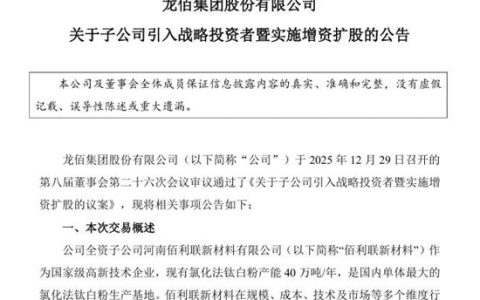 豪掷20亿！七大战略投资者入局龙佰集团子公司