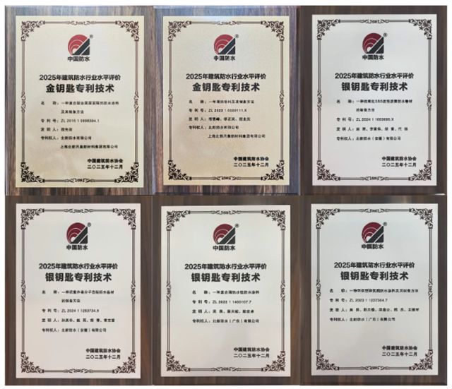 北新防水以科创之力驱动突破,以攻坚之心铸就新篇
