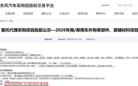 巴斯夫“借道”区域代理，拿下东风柳汽超3500万订单