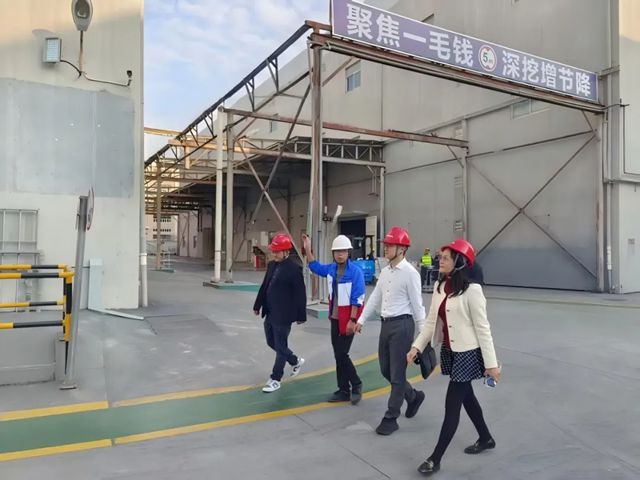 北新嘉宝莉携手行业权威，共探涂料标准实施新路径