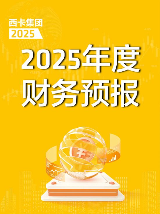 全球 | 西卡2025年度财务预报，新鲜出炉！