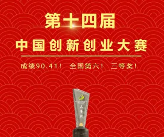 技术引领,全球布局——倍特尔 2025 高光盘点