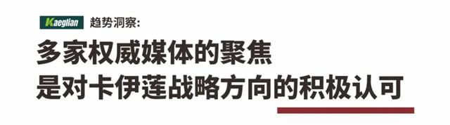 破局旧改深水区：卡伊莲“系统战”引发行业关注，获多家权威媒体聚焦报道