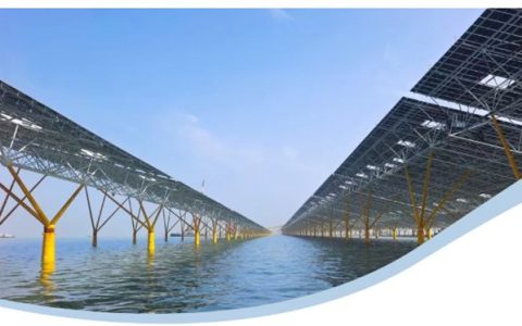 阿克苏诺贝尔守护全球最大开放式海上光伏