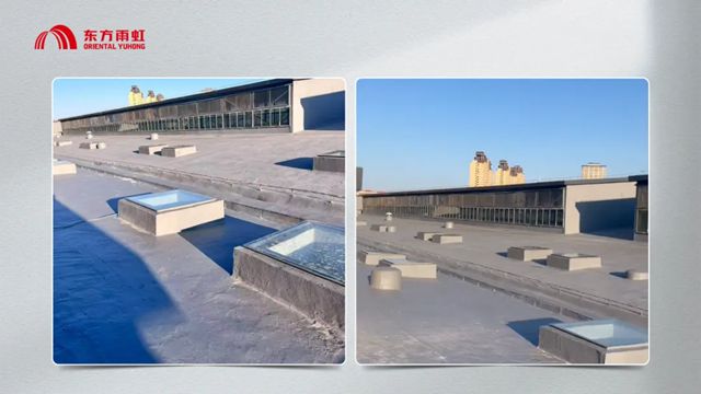 东方雨虹惠顶HD1981：以专业品质守护城市交通枢纽