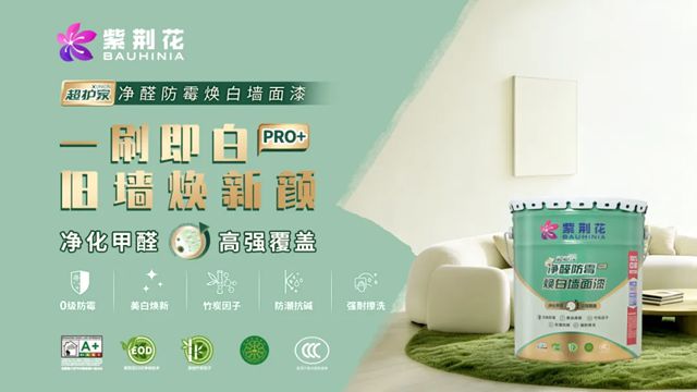 新质引领 共赢未来|2026紫荆花新零售项目培训会成功举行