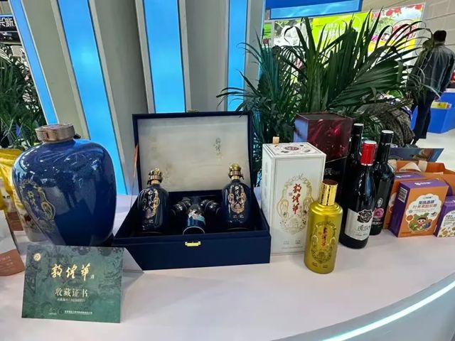 西北永新 | 实干为笔绘就发展新图景