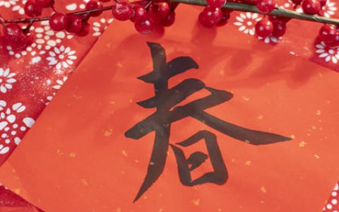 中外涂料网春节放假通知