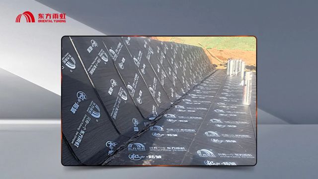 共筑西北“好房子”丨东方雨虹以科技助力新疆建设