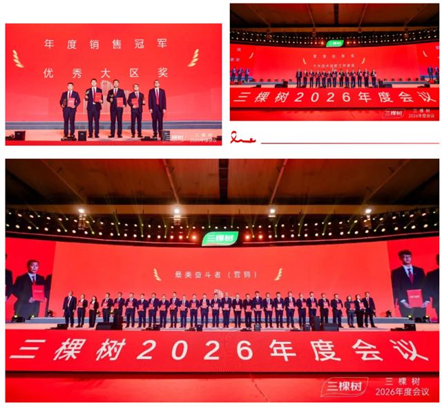 新战略 新格局 新征程｜三棵树2026年度会议隆重召开