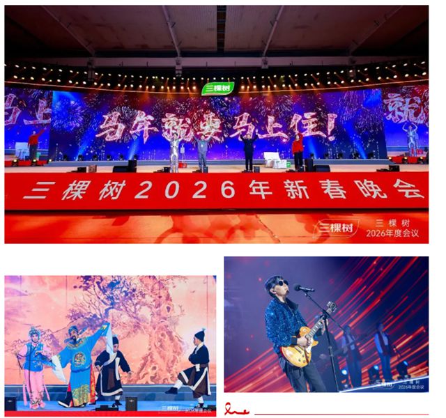 新战略 新格局 新征程|三棵树2026年度会议隆重召开