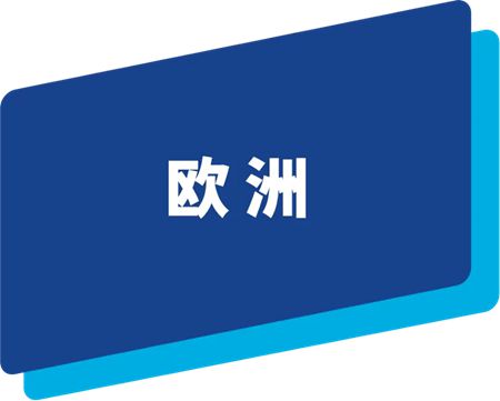2025年全年业绩发布 | 销售额与营运利润保持稳定增长