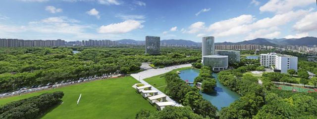 解锁“中国漆”向新力 —— 三棵树的产业升级之路