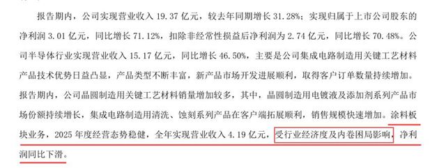 4.19亿营收却换来利润下滑？上海新阳涂料业务遇冷