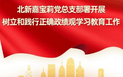 北新嘉宝莉党总支部署开展树立和践行正确政绩观学习教育工作