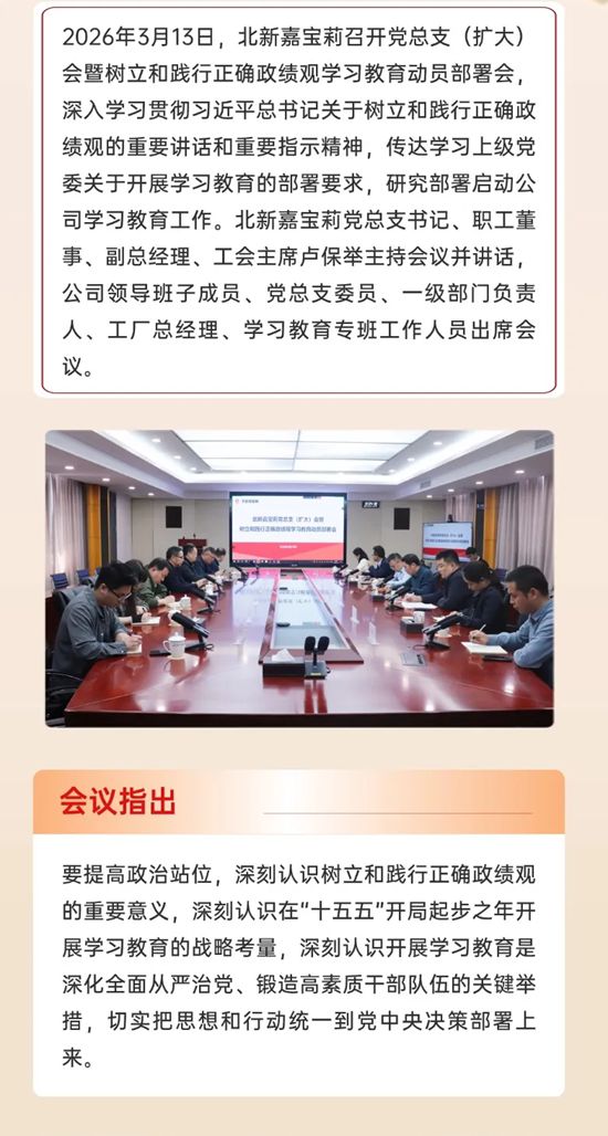 北新嘉宝莉党总支部署开展树立和践行正确政绩观学习教育工作