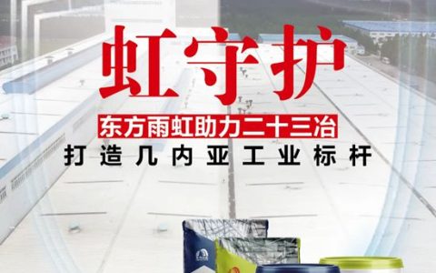 东方雨虹助力二十三冶打造几内亚工业标杆