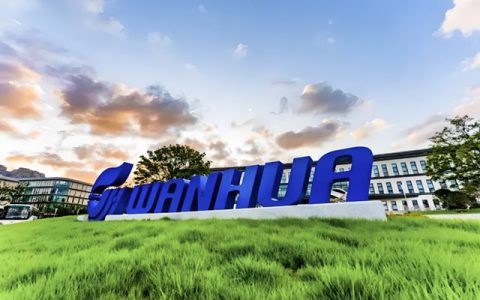 全球化工价跌13%，万华化学靠这三招突破2000亿，稳坐MDI霸主