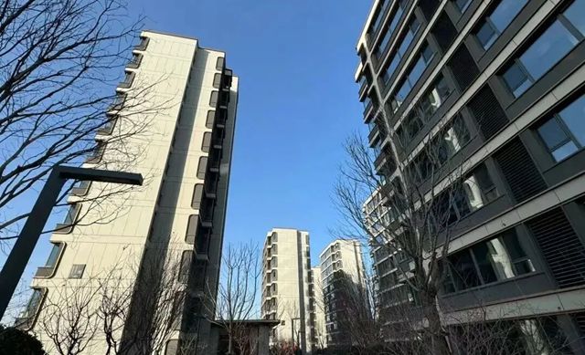 七彩建设荣获鹏飞集团“2025年度优质合作供应商”