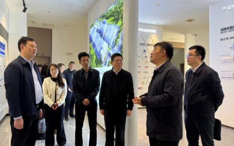 湖南省委外事办副主任杨琦一行调研倍特尔