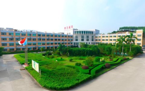 张雪机车夺冠刷屏！四方威凯为赛车打造冠军“盔甲”