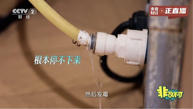 从绝望老宅到神仙新家！北新雨燕神级改造，央视《非改不可》看哭全网！