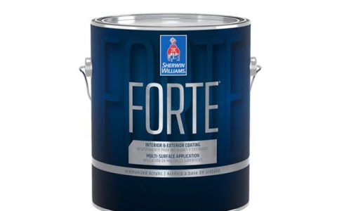 刚发布就入围大奖！宣伟的王炸新品来了，实力究竟有多强？