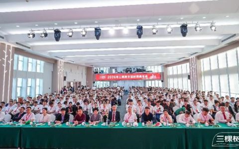 三棵树全球仿石涂料销量第一！