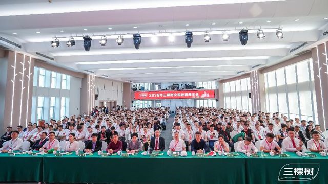 三棵树全球仿石涂料销量第一！