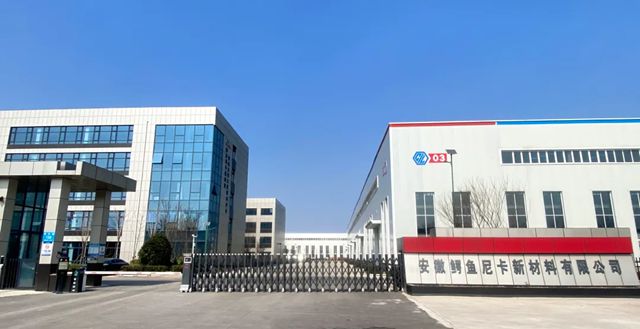 市县商务局与外汇管理局领导一行莅临鳄鱼尼卡集团指导海外业务拓展